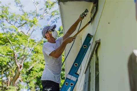 florida paint test|florida repair and painting requirements.